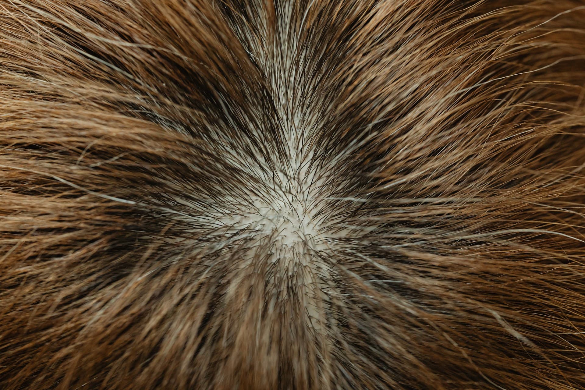How to Fix Scalp pH for Hair Growth in 10 Days